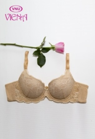 Lace bra
