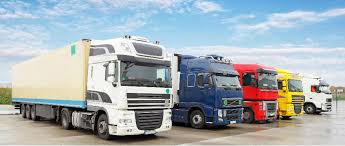 Cargo road transport