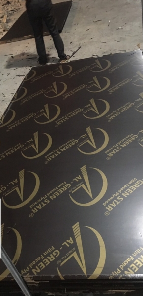 Film coated plywood