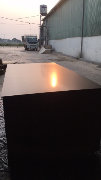 Film coated plywood