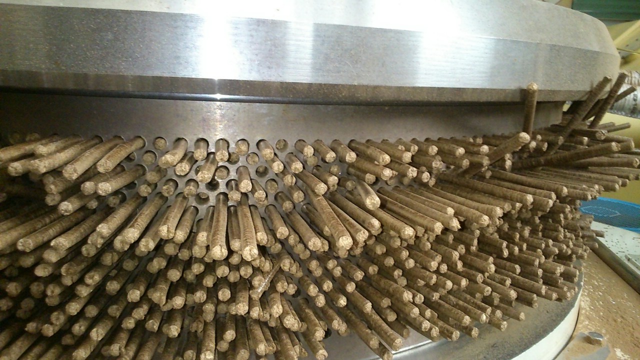 Sawdust pellets