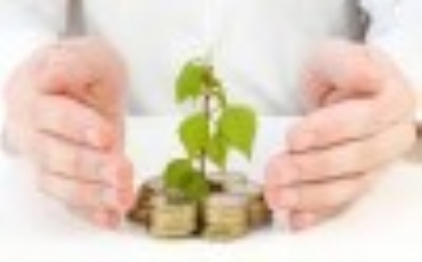 Cosulting for investment law