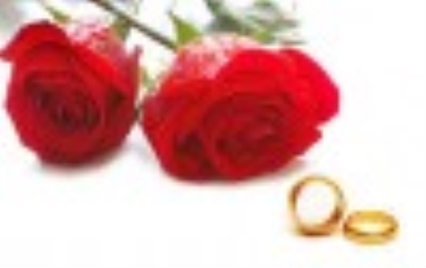 Marriage law consulting