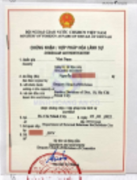 Consulting for consular legalization