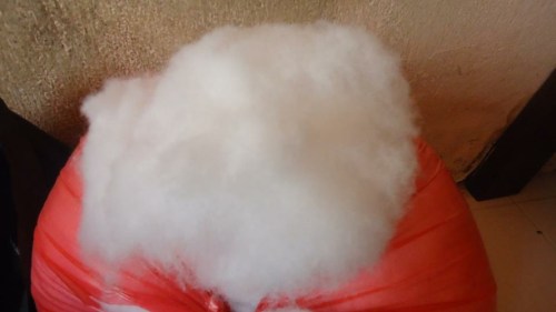 Cotton wool