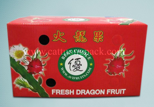 Exported Fruits Box