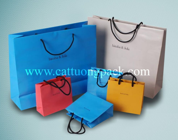 Stylish paper bag