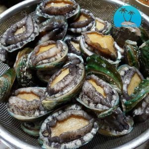 Korean abalone