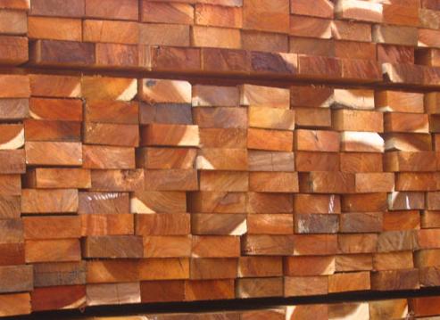 Melaleuca wood