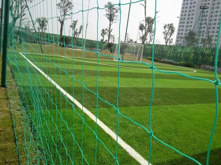 Sport net