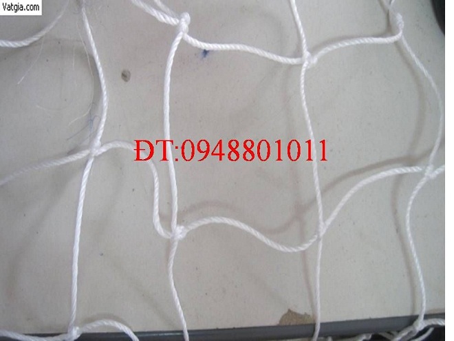 Sport net