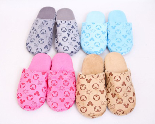 House slippers