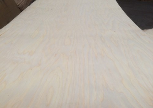 Ash rotary veneer
