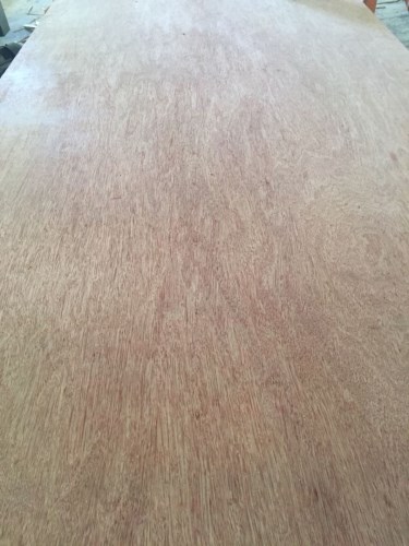 Bingtagor plywood