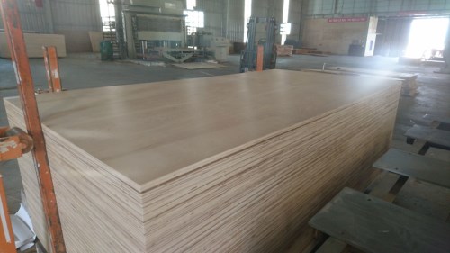 Mapble birch plywood