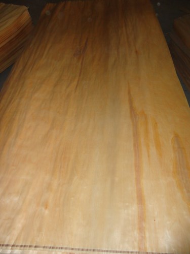 Mapble birch rotary veneer