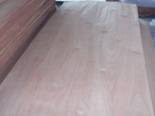 Okume rotary veneer