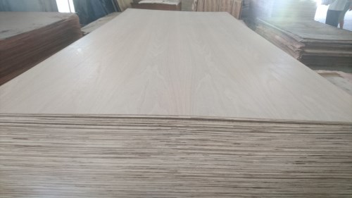 White OAK fancy plywood