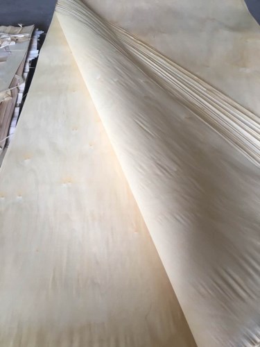 White birch rotary veneer