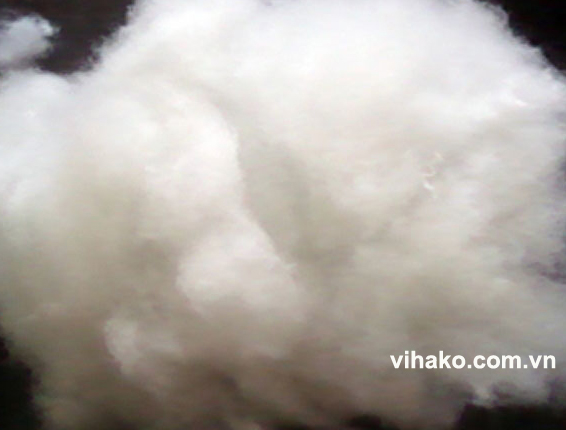 Carding fiber