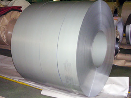 Plating steel