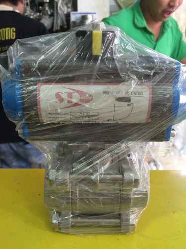Pneumatic valve