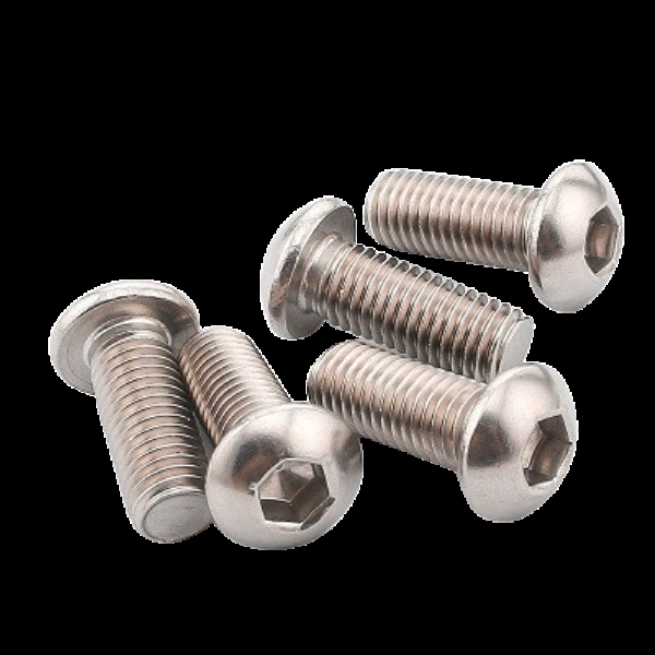 SS 316L bolts