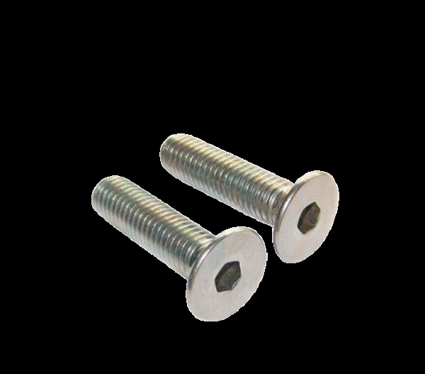 SS 316L bolts