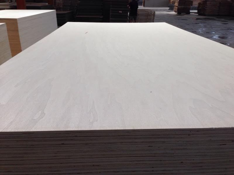 Birch plywood