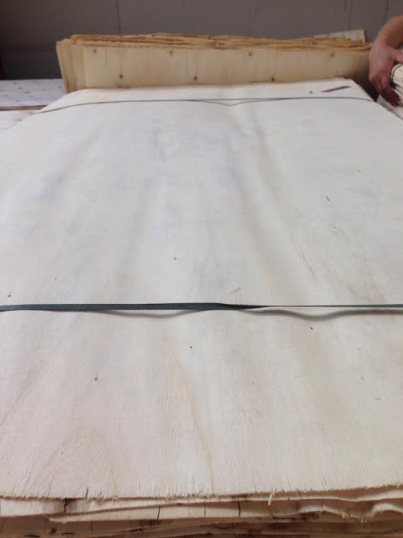 Birch plywood