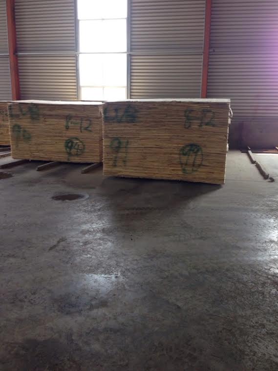 Birch plywood