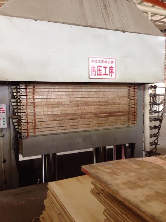 Birch plywood