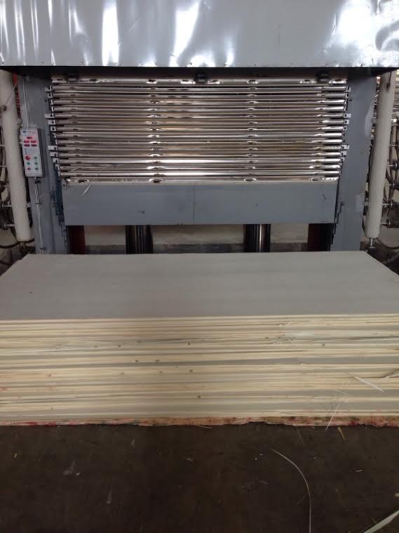 Birch plywood