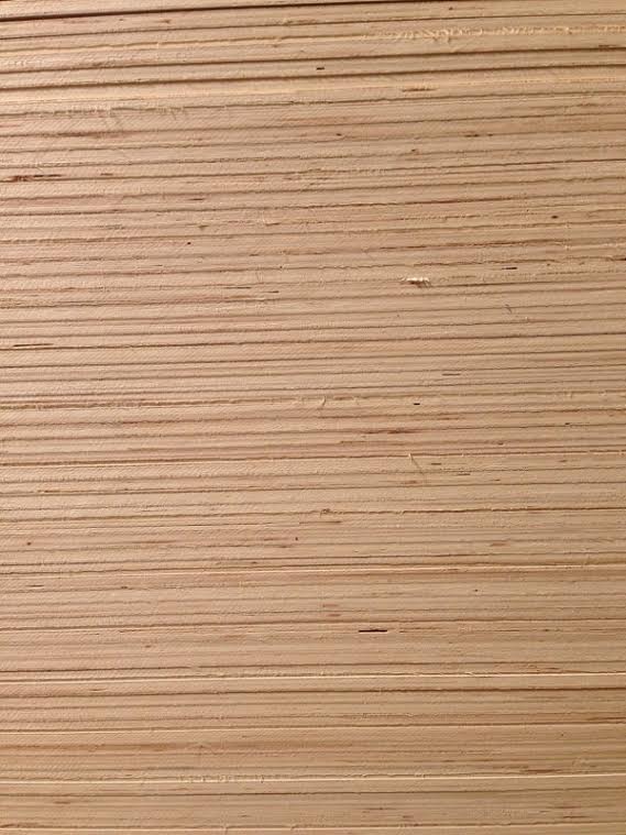 Birch plywood