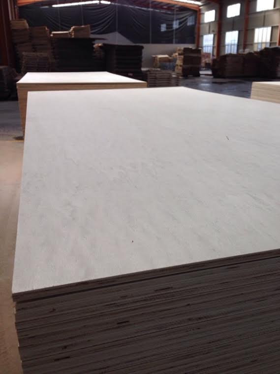 Birch plywood