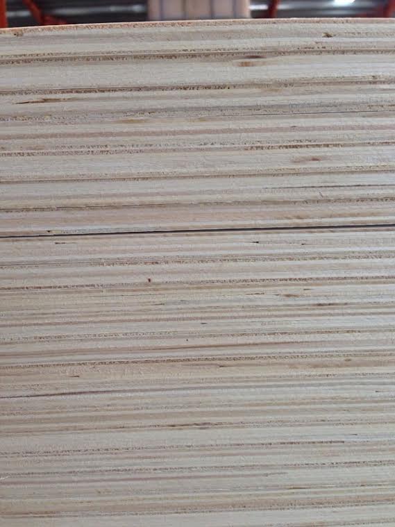 Birch plywood