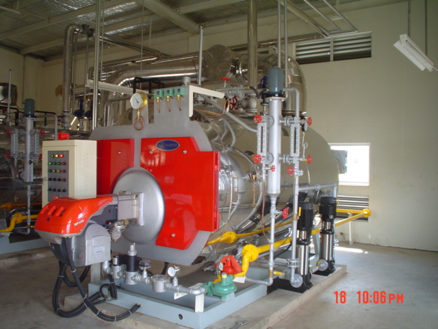 Gas fired boiler