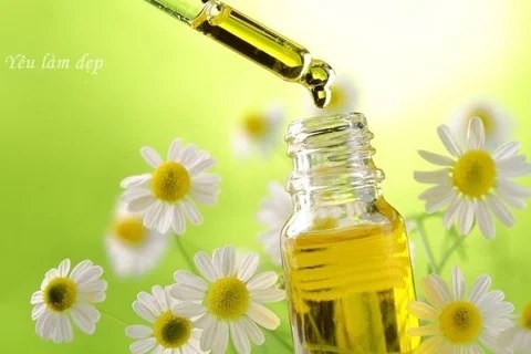 Chamomile essential oil