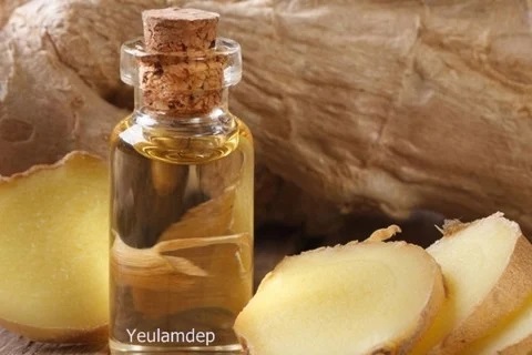 Ginger essential oil
