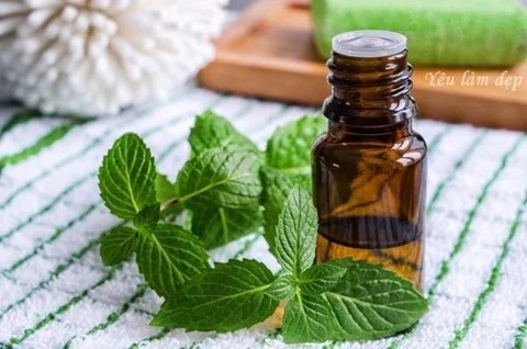 Holy basil essential oil