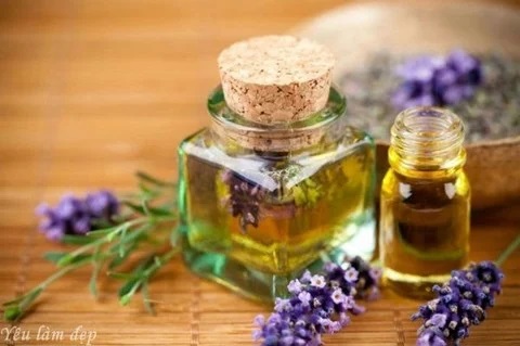 Lavender essential oil