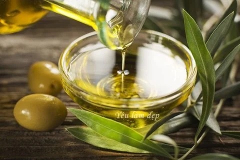 Shea oil