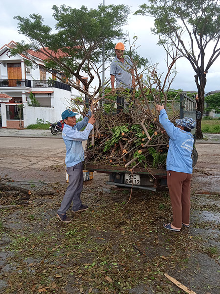 Greenery care