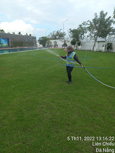 Greenery care