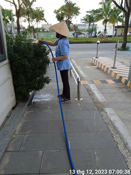 Greenery care
