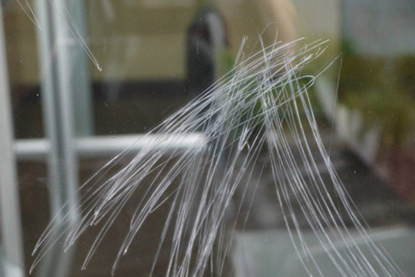 Moldy and scratched glass restoration