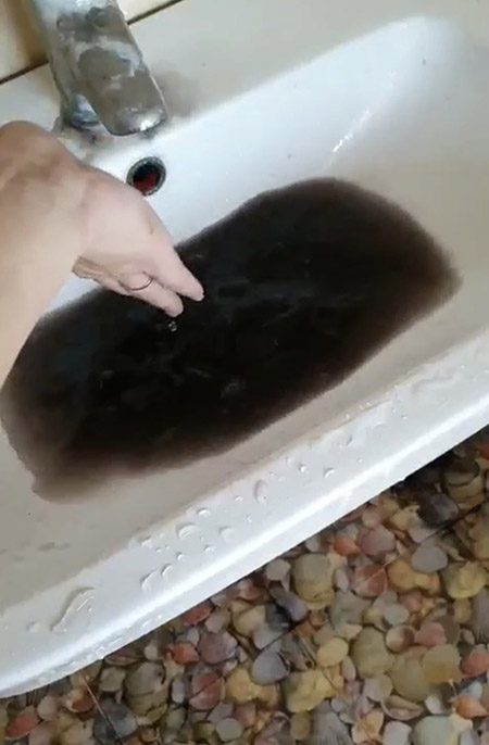 Domestic water pipe cleaning