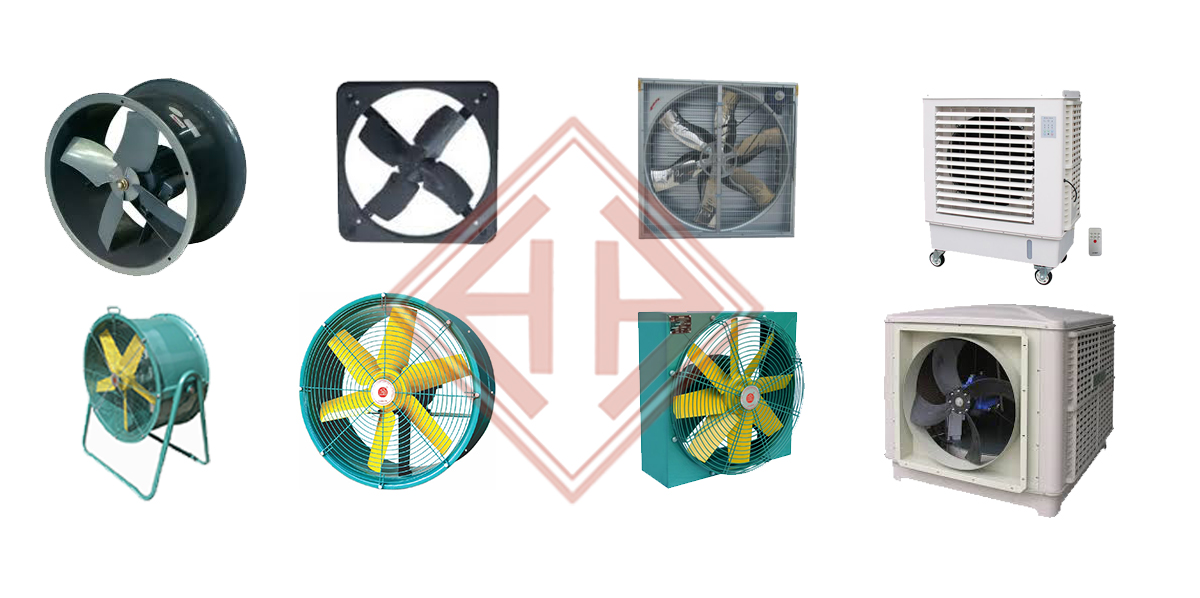 Fan rental services