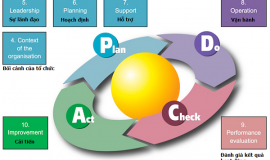 Internal audit of management systems