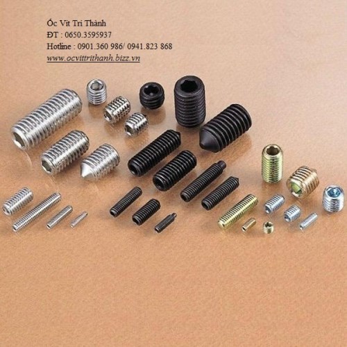 Socket nuts